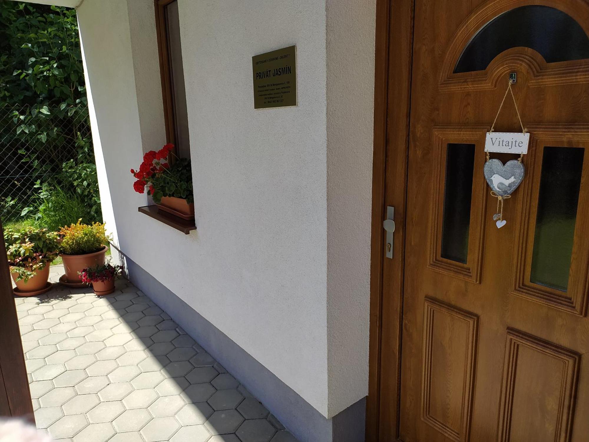 Privat Jasmin Apartman Menguszfalva Kültér fotó